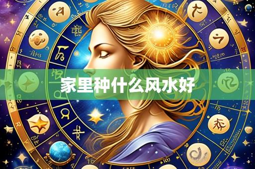 家里种什么风水好