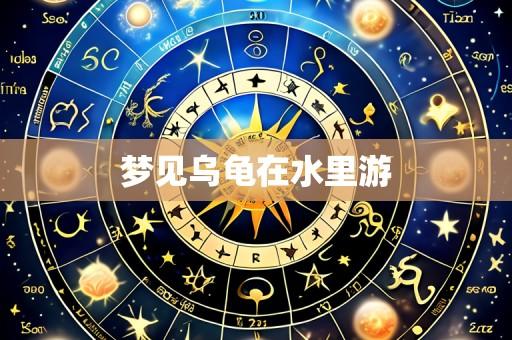 梦见乌龟在水里游