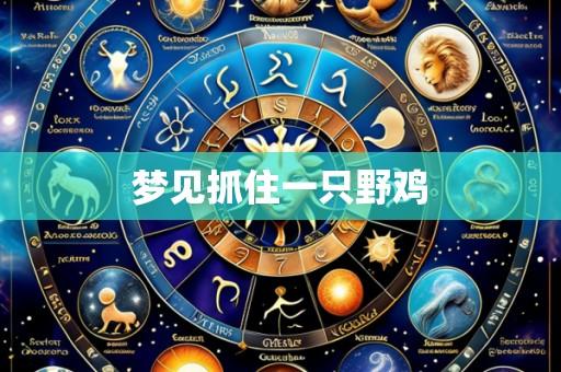 梦见抓住一只野鸡