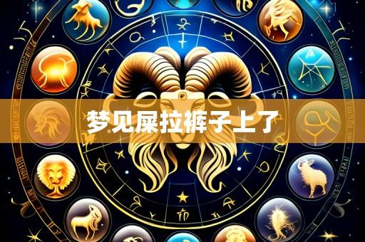 梦见屎拉裤子上了