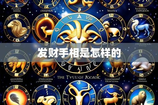 发财手相是怎样的