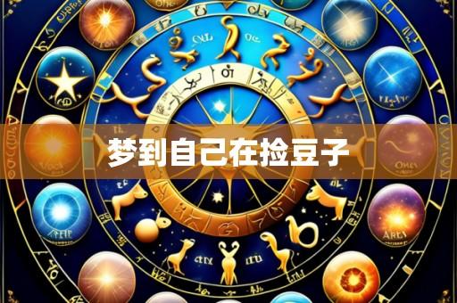 梦到自己在捡豆子