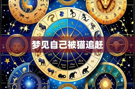 梦见自己被猫追赶