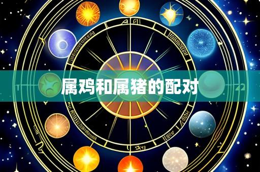 属鸡和属猪的配对