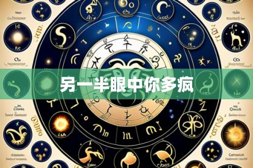 另一半眼中你多疯