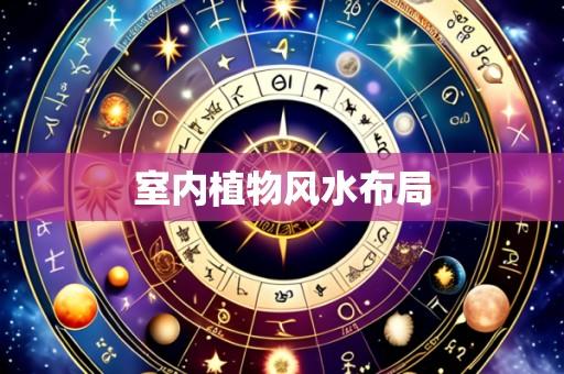 室内植物风水布局