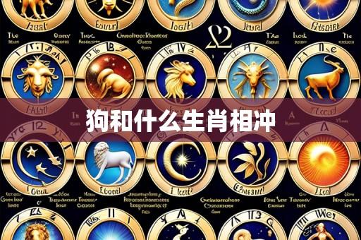 狗和什么生肖相冲