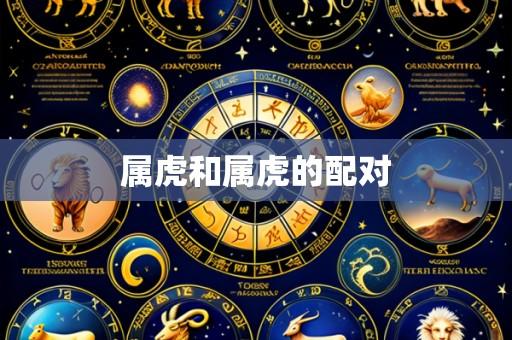 属虎和属虎的配对