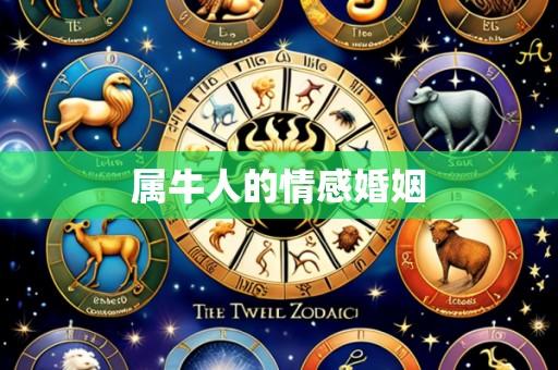 属牛人的情感婚姻