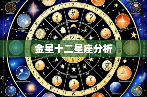 金星十二星座分析