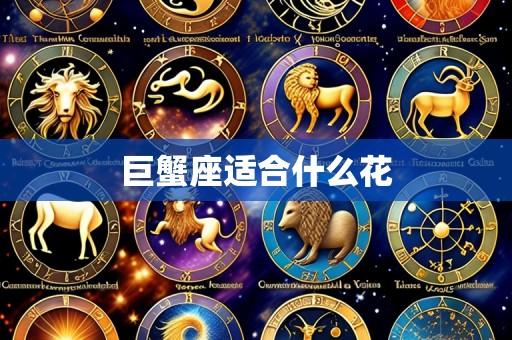巨蟹座适合什么花