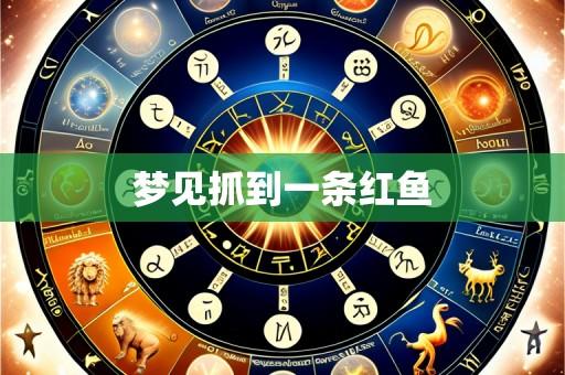 梦见抓到一条红鱼