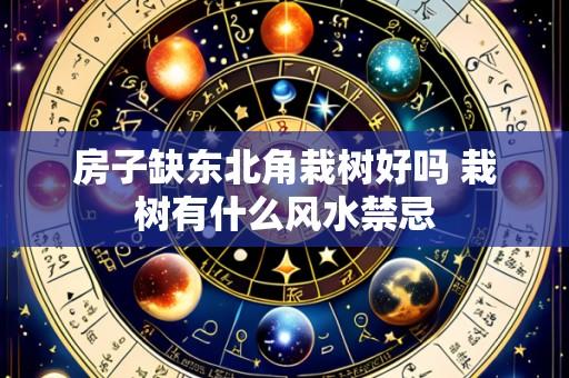 房子缺东北角栽树好吗 栽树有什么风水禁忌