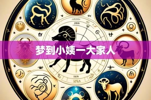 梦到小姨一大家人