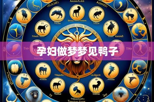 孕妇做梦梦见鸭子