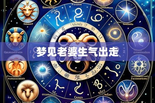 梦见老婆生气出走