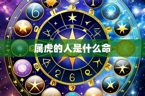 属虎的人是什么命