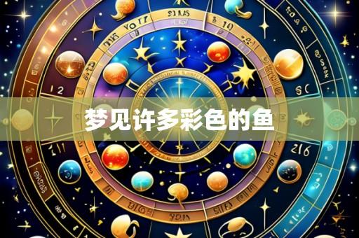 梦见许多彩色的鱼