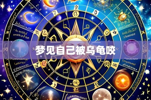 梦见自己被乌龟咬