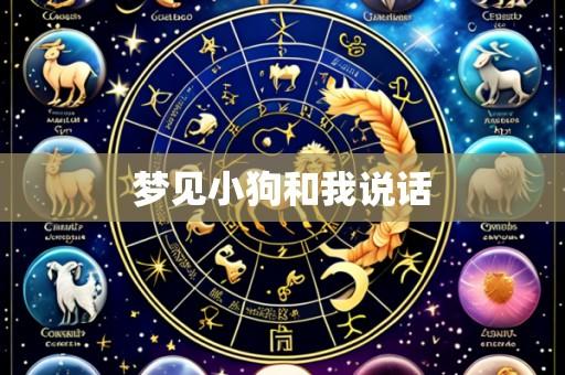 梦见小狗和我说话