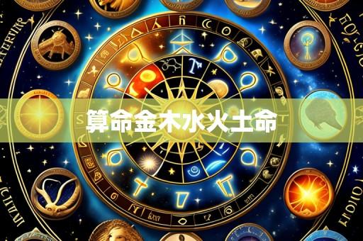 算命金木水火土命