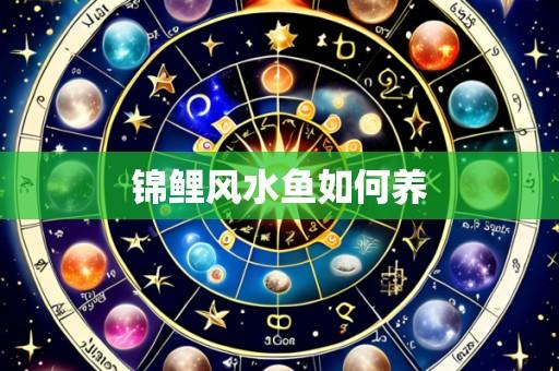 锦鲤风水鱼如何养
