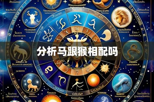 分析马跟猴相配吗