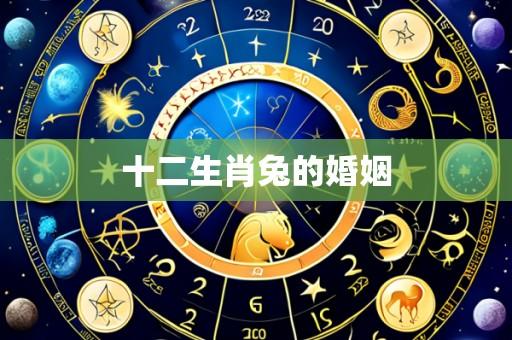 十二生肖兔的婚姻