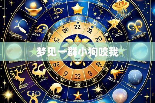 梦见一群小狗咬我