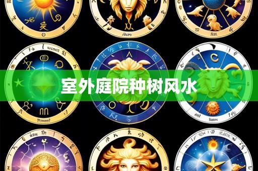 室外庭院种树风水