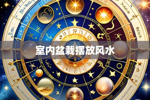 室内盆栽摆放风水