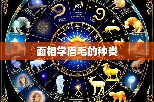 面相学眉毛的种类