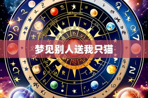 梦见别人送我只猫
