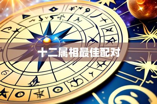 十二属相最佳配对