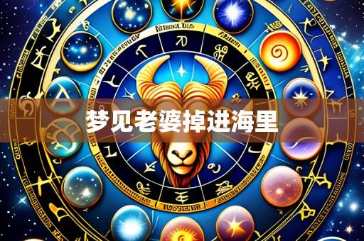 梦见老婆掉进海里