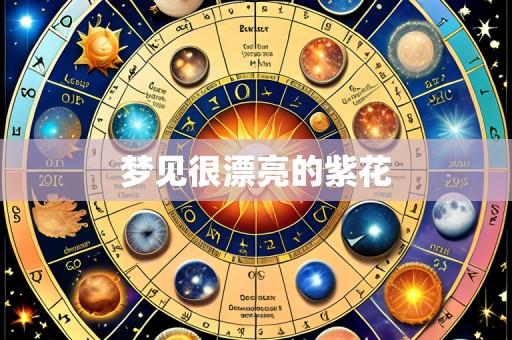 梦见很漂亮的紫花