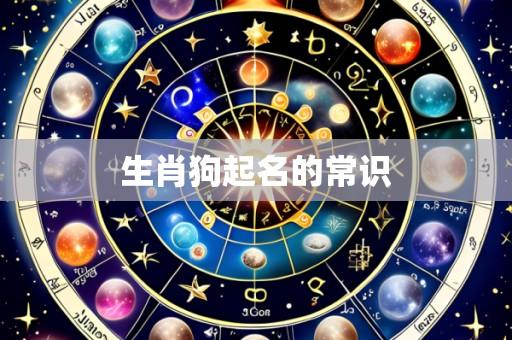 生肖狗起名的常识