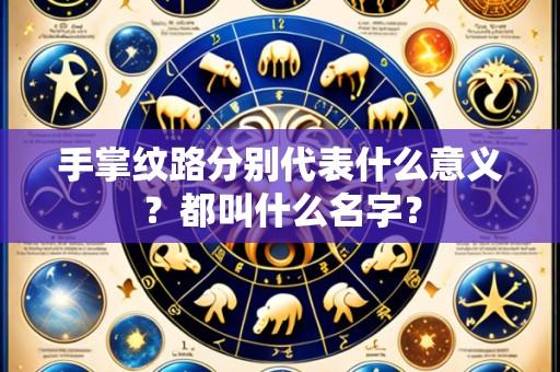 手掌纹路分别代表什么意义？都叫什么名字？