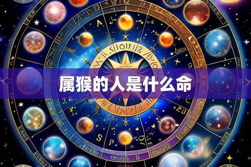 属猴的人是什么命