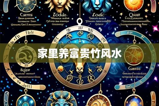 家里养富贵竹风水