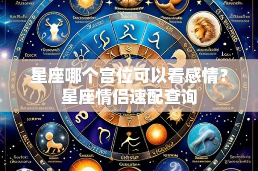 星座哪个宫位可以看感情?星座情侣速配查询