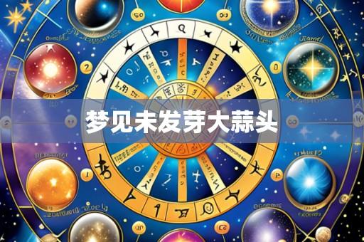梦见未发芽大蒜头
