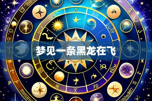 梦见一条黑龙在飞