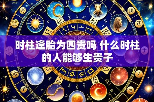 时柱逢胎为四贵吗 什么时柱的人能够生贵子