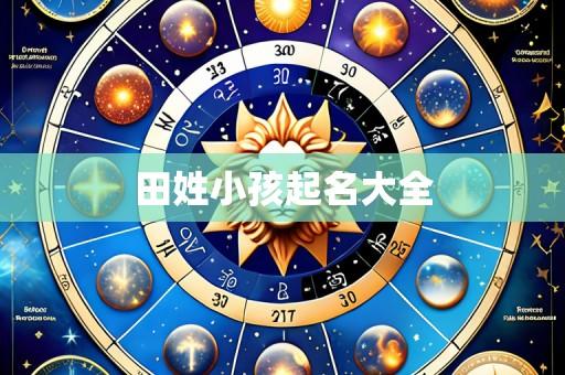 田姓小孩起名大全