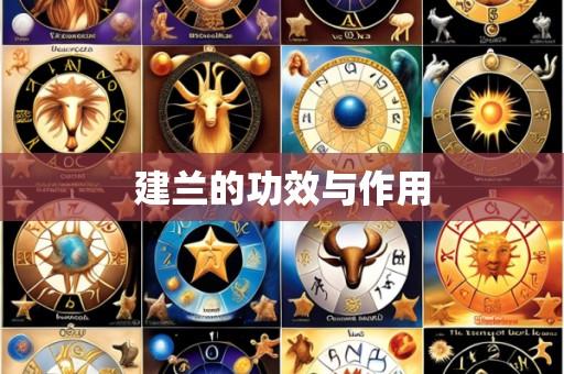 建兰的功效与作用