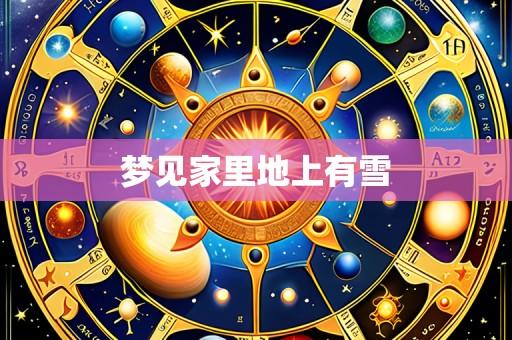 梦见家里地上有雪