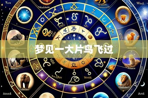 梦见一大片鸟飞过