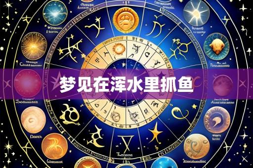 梦见在浑水里抓鱼
