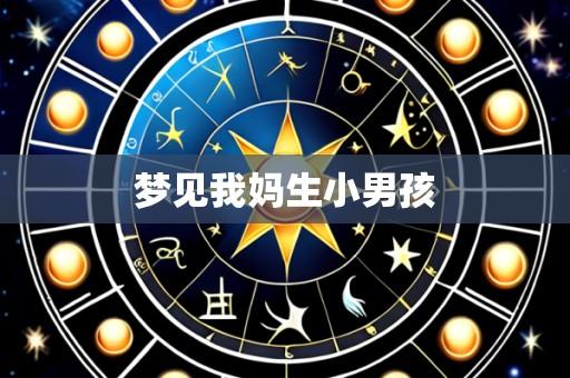 梦见我妈生小男孩